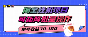 揭秘2025最新淘宝挂机项目，单号30-100，可矩阵批量操作(附工具)-柯南聊项目