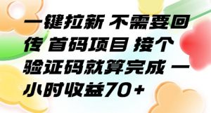 一键拉新 不需要回传 首码项目 接个验证码就算完成 一小时收益70+【揭秘】-柯南聊项目