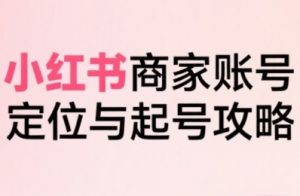 小红书电商全链路实战从定位到爆单，系统拆解小红书商家起号全流程-柯南聊项目