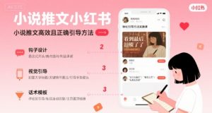 小说推文小红书高转化引导方法实操课，小说推文高效且正确引导方法-柯南聊项目