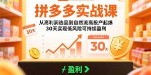 拼多多实战课：从高利润选品到自然流高投产起爆 30天实现低风险可持续盈利-柯南聊项目