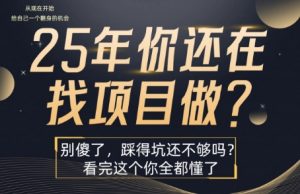 25年，你还在疯狂的找项目吗？别傻了，看完这个你都懂了【揭秘】-柯南聊项目