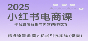 2025小红书电商课：解析算法，创作高转化内容，助力卖家获取流量实现变现(录音)-柯南聊项目