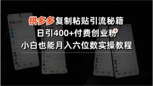 拼多多复制粘贴引流秘籍,日引400+付费创业粉,小白也能月入六位数实操…-柯南聊项目