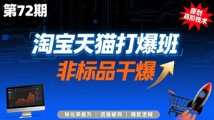 淘宝天猫打爆班原创高阶技术第72期，非标品干爆-柯南聊项目
