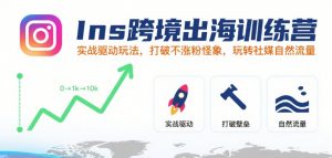 Ins跨境出海训练营，实战驱动玩法，打破不涨粉怪象，玩转社媒自然流量-柯南聊项目