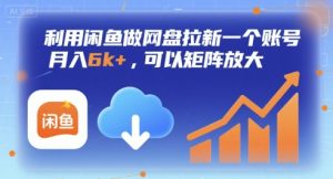 利用闲鱼做网盘拉新一个账号，月入6k+，可以矩阵放大-柯南聊项目
