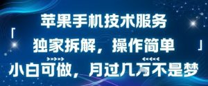 苹果手机技术服务，独家拆解，操作简单，小白可做，月过1W不是梦-柯南聊项目