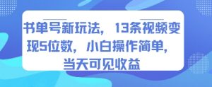 书单号新玩法，13条视频变现5位数，小白操作简单，当天可见收益-柯南聊项目