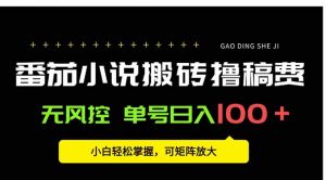 番茄小说创作人搬砖赚稿费，无风控单号日入100＋，小白轻松掌握，可矩…-柯南聊项目