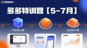 多多特训营【5-7月】产品决定上限，方法决定下限，各种玩法技巧落地实操-柯南聊项目