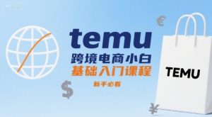 temu跨境电商小白基础入门课程，新手必看-柯南聊项目
