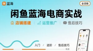 闲鱼蓝海电商实战，店铺搭建运营售后全流程-柯南聊项目