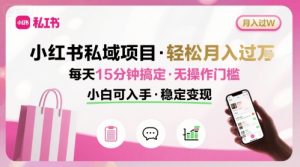 小红书私域项目 月入过W非常轻松 每天15分钟即可搞定，无任何操作门槛，小白可入手-柯南聊项目