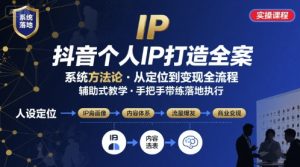 抖音个人IP系统落地实操大课，实操课程，辅助落地-柯南聊项目