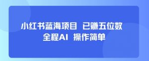 小红书蓝海项目，全程AI，操作简单，已挣五位数-柯南聊项目