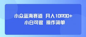 小众蓝海赛道，小白可做，操作简单，每天30分钟，月入1W+-柯南聊项目