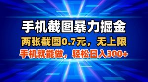 手机截图暴力掘金，两张截图0.7米，一部手机就能做，轻松日入3张+【揭秘】-柯南聊项目