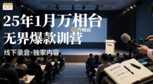 25年1月万相台无界爆款特训营线下录音-柯南聊项目