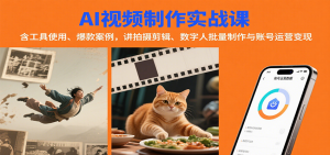 AI视频制作实战：含工具使用、爆款案例，讲拍摄剪辑、数字人批量制作与账号运营变现-柯南聊项目