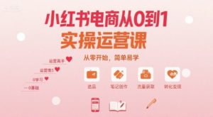 小红书电商从0到1实操运营课，从零开始，简单易学-柯南聊项目