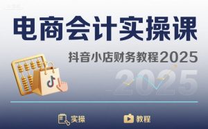 电商会计实操课-抖音小店财务教程2025-柯南聊项目