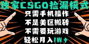 CSGO自动捡漏项目，最新独家玩法，不是美区搬砖，不需要了解和玩游戏，新手小白轻松月入1W+【揭秘】-柯南聊项目