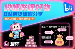 哔哩哔哩好物，B站带货流程分享，新风口项目，矩阵操作月1W-柯南聊项目