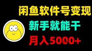 闲鱼软件号变现，新手就能干，月入5k+-柯南聊项目