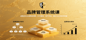 品牌管理系统课：战略定位与消费者洞察，DTC案例、资产评估，增长与公关体系搭建-柯南聊项目