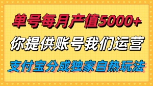 单月产值5000+，支付宝分成代运营，你提供账号坐等分钱，我们帮你运营-柯南聊项目