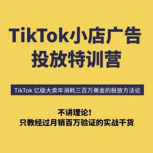TikTok小店广告投放特训营，6天破局计划专治各种“投不动”，教你经过月销百万验证的实战干货-柯南聊项目