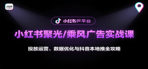 小红书聚光/乘风广告实战课：投放运营、数据优化与抖音本地推全攻略-柯南聊项目