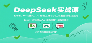 DeepSeek实战课：Excel、WPS接入、AI 组合工具与小红书批量做笔记技巧-柯南聊项目