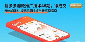 拼多多爆款推广技术48期，净成交与出价策略，极速起量时机判断实操指南-柯南聊项目