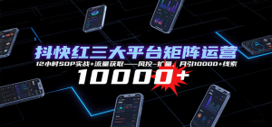 抖快红三大平台矩阵运营，12小时SOP实战+流量获取-风控-扩量，月引10000+线索-柯南聊项目