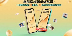 微信私域爆单训练营：一场公开课成交33单案例，99元自动训练营批量变现术-柯南聊项目