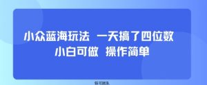 小众蓝海玩法 一天搞了四位数 小白可做 操作简单-柯南聊项目