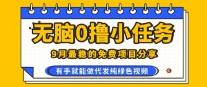 0学费0风险，2025风口项目，无脑免费撸，代发纯绿色视频，一部手机人人可做【揭秘】-柯南聊项目