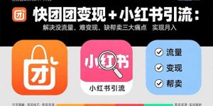 快团团变现+小红书引流：解决没流量、难变现、缺帮卖三大痛点 实现月入3w+-柯南聊项目