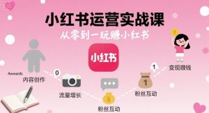 小红书运营实战课，从零到一玩賺小红书-柯南聊项目