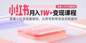 小红书月入1W+变现课程：掌握小红书流量密码，从养号到带货全流程盈利-柯南聊项目