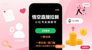 悟空直搜拉新小红书实操教学，一单10米，低门槛，0粉丝小白也能日入多张-柯南聊项目