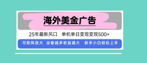 最新海外广告美金，全自动挂机，单机单日500+，可矩阵放大，新手小白轻…-柯南聊项目