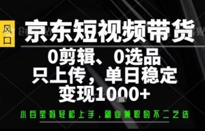 你出账号，我来运营，保底日入1k+，开启躺賺模式【揭秘】-柯南聊项目