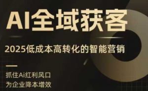AI全域获客实训营，2025低成本高转化的智能营销，精准找客，高效营销-柯南聊项目