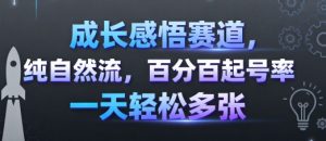 成长感悟赛道，纯自然流，百分百起号率 一天轻松多张-柯南聊项目