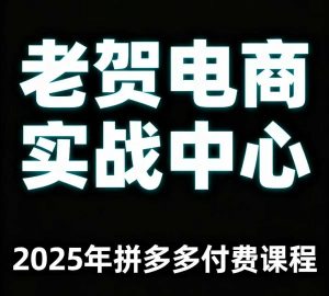 老贺电商2025年拼多多付费课程，用通俗易懂的方法告诉你多多怎么玩-柯南聊项目