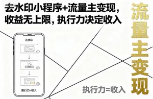 去水印小程序+流量主变现，收益无上限，执行力决定收入-柯南聊项目