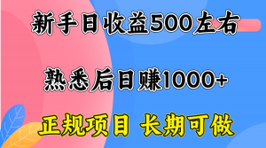 一台电脑，前期日收益300-500，熟练后日入1000左右-柯南聊项目